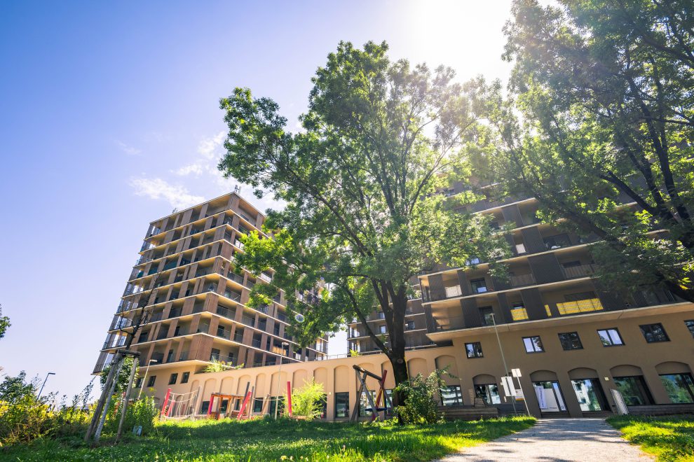 Eine Wohnhaussiedlung in Graz. Durch einen Baum, der vor einem großen Mehrparteienhaus steht, scheint die Sonne.